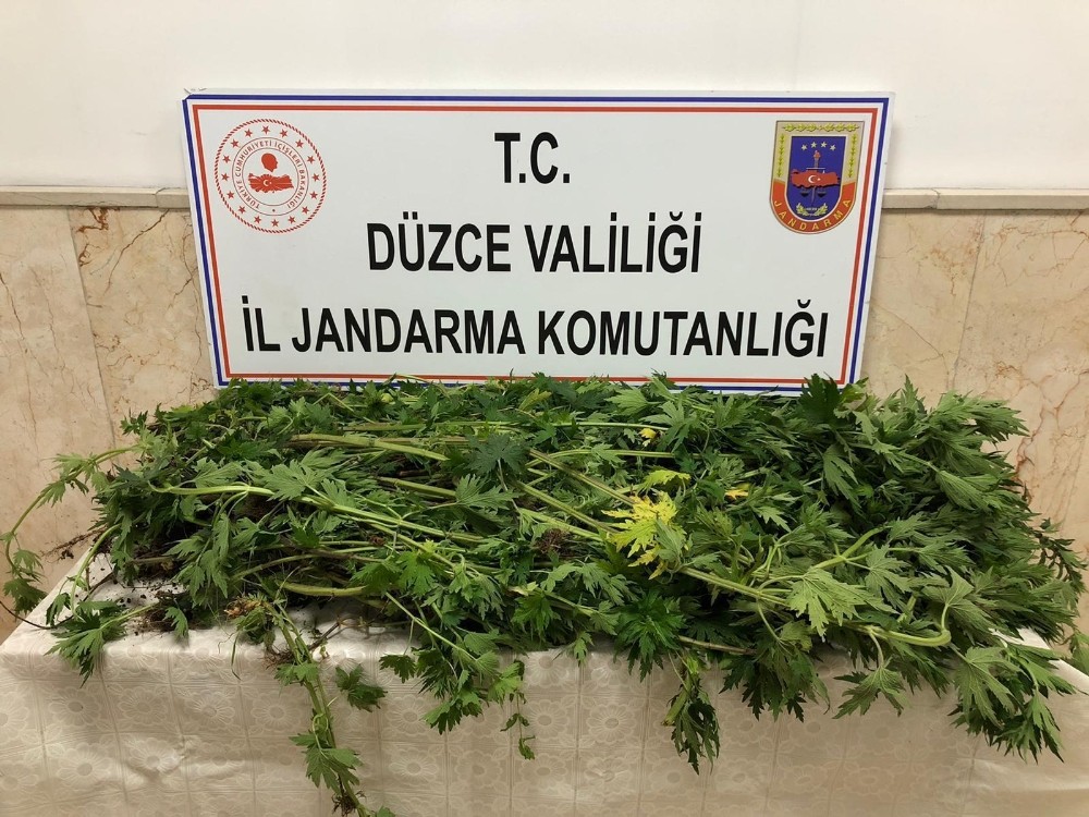 Jandarmadan droneli uyuşturucu operasyonu 