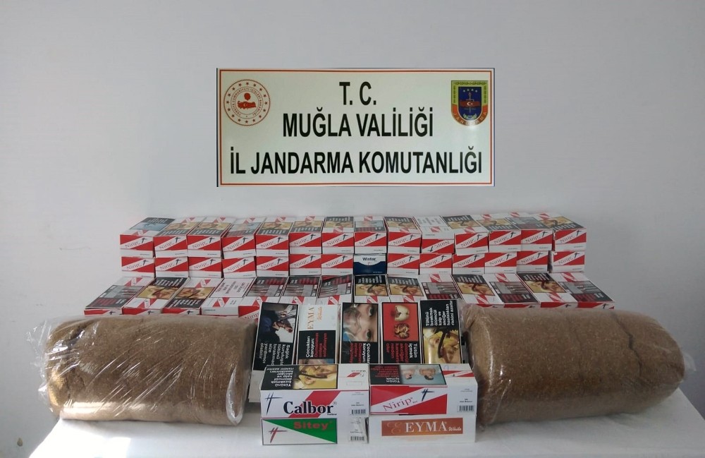 Jandarmadan kaçak sigara operasyonu 