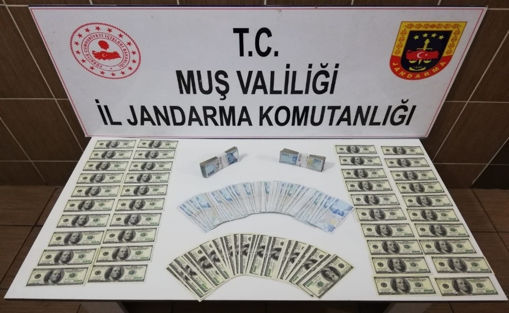 Jandarmadan kalpazanlara operasyon 
