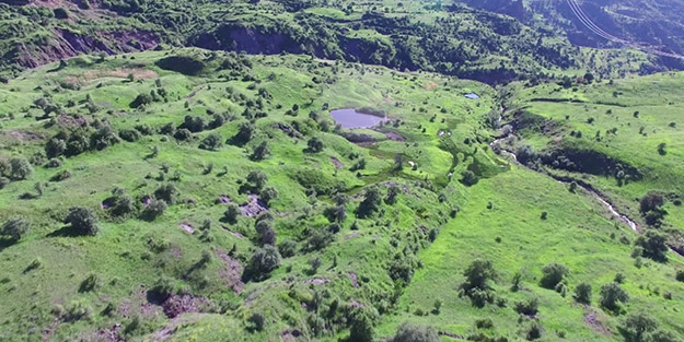 Jandarmadan kayıp buzağılar için dronelu operasyon