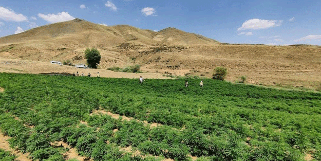 Jandarma'dan PKK'ya dev darbe! Tam 3 buçuk milyar lira...
