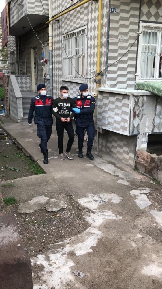 Jandarmadan terör operasyonu: 1 gözaltı 