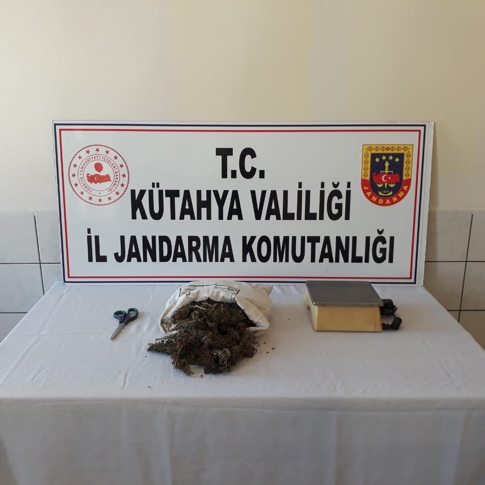 Jandarmadan uyuşturucu operasyonu 