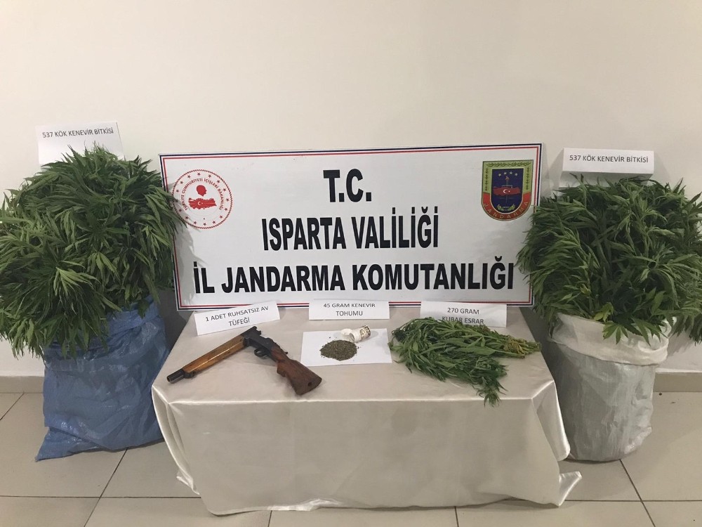 Jandarma’dan uyuşturucu operasyonu 