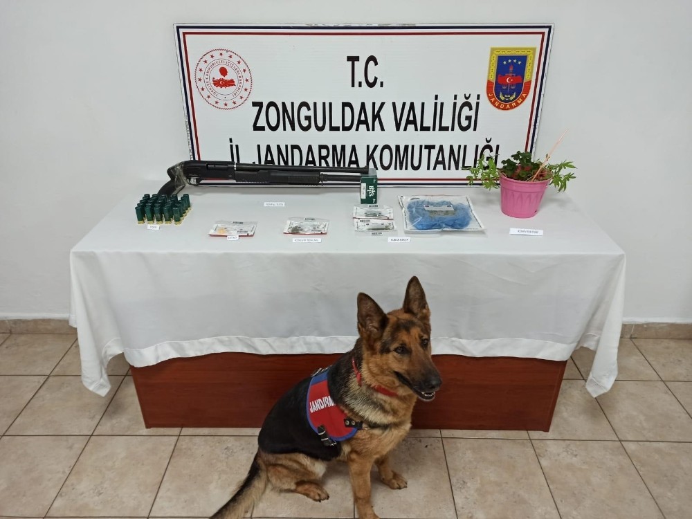 Jandarmadan uyuşturucu operasyonu: 5 gözaltı 