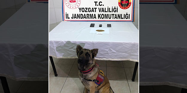 Jandarma'dan uyuşturucu operasyonu: Gözaltılar var
