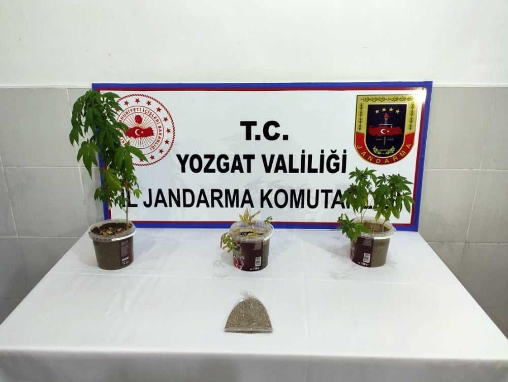Jandarmadan uyuşturucu operasyonun,1 gözaltı 