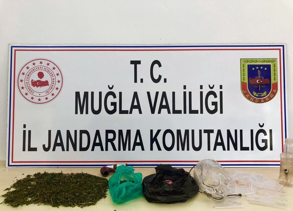 Jandarmadan uyuşturucu partisine baskın 