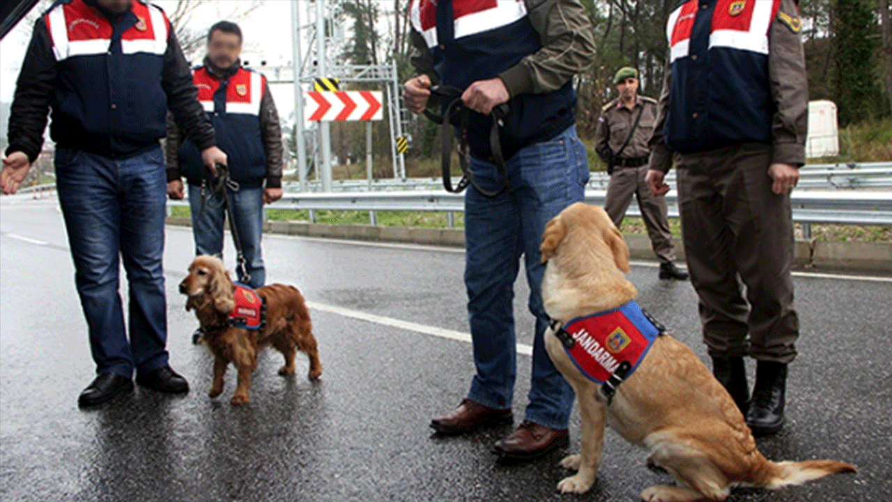 Jandarmadan uyuşturucu ticaretine darbe