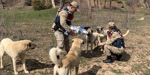 Jandarmadan yemleme çalışması