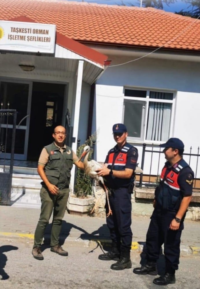 Jandarmanın bulduğu yaralı leylek tedavi altına alındı 