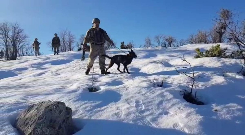 Jandarmanın ’hassas burunlu’ yardımcıları görev başında 