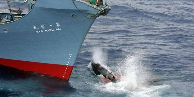 Japonlar okyanusu kana buladı