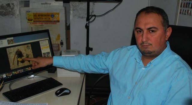 'Japon' eşek arıları ölüm saçtı!