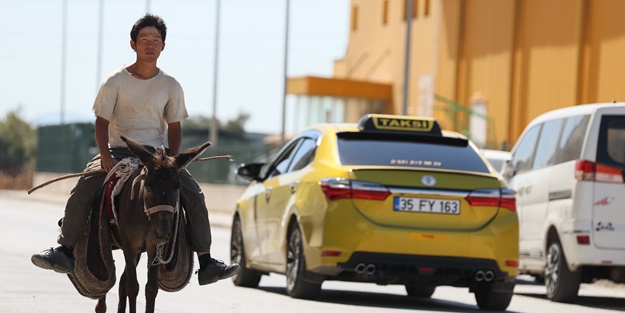 Japon turist, eşekle Türkiye'yi gezdi