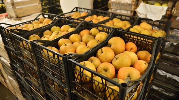 Japonlar buldu üretimini Çanakkaleliler yapıyor