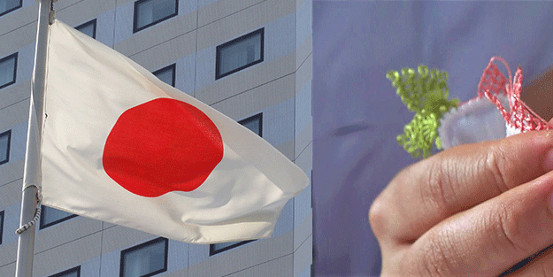 Japonlar ne yapsa olmadı, bir türlü takilt edemediler! Türkiye'den satın almak zorunda kaldılar