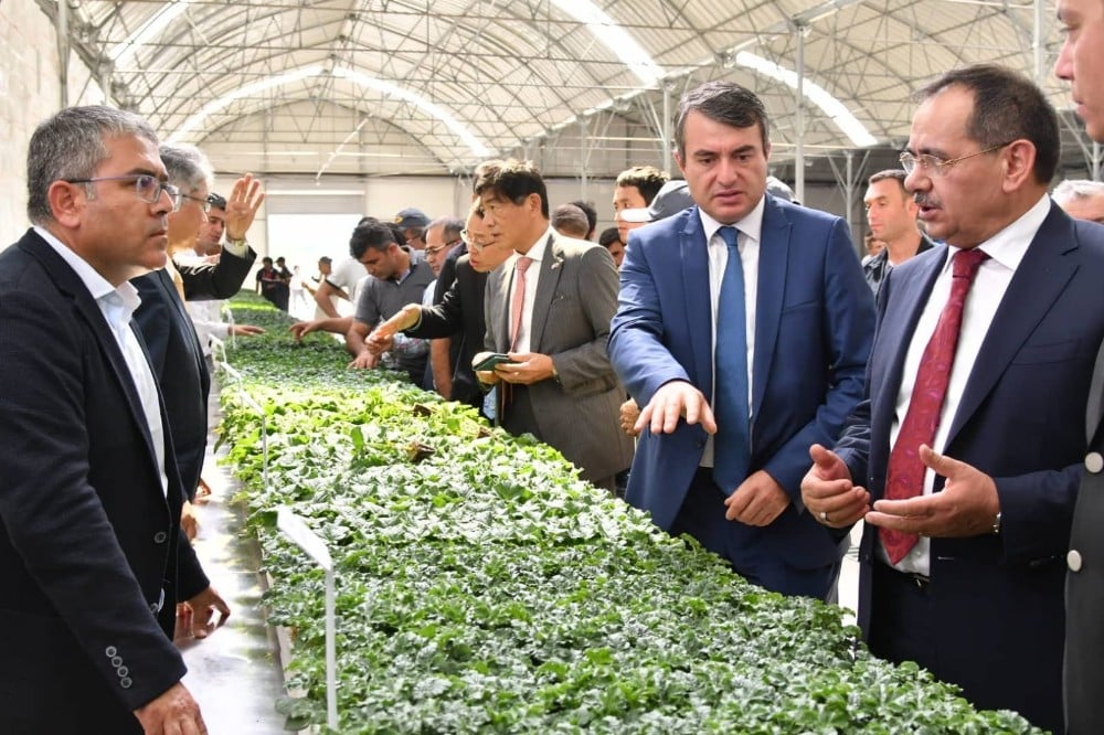 Japonlardan Bafra’ya tarım yatırımı 