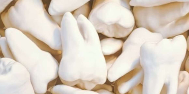 Japonya'nın bilim insanları şaşkına çevirecek: Tarihte bir ilk! Dökülen dişler tekrar çıkacak, detaylar belli oldu