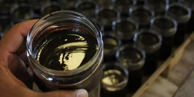 Japonya Türkiye'den ısrarla onu istiyor! Köylülerin başına talih kuşu kondu