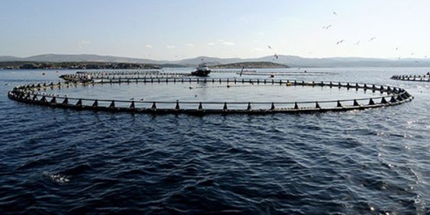 Japonya 280 adayı kamulaştıracak