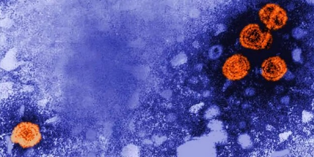 Japonya'da 2 çocukta tespit edildi! Gizemli virüs yayılıyor