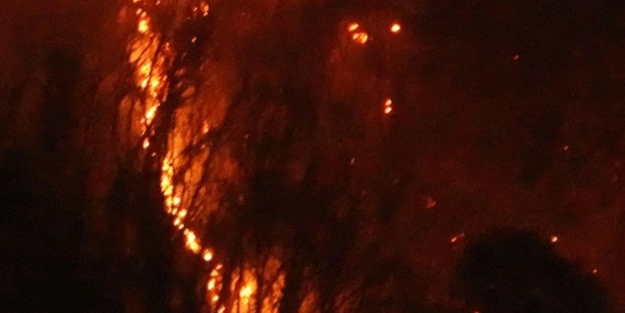 Japonya’da 3 gündür süren yangında, 50 hektarlık alan kül oldu