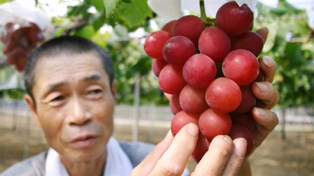 Japonya'da bir salkım üzüm 32 bin lira