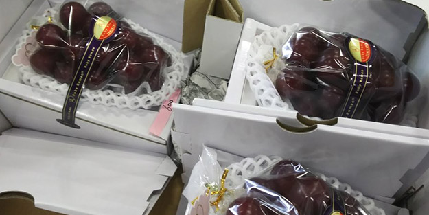 Japonya'da 'bir salkım üzüm' binlerce dolarlık rekor fiyattan satıldı