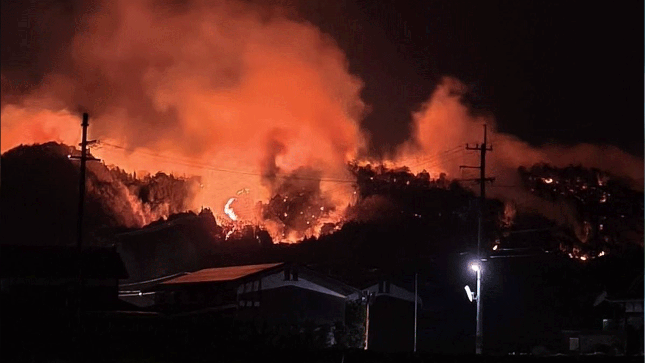 Japonya'daki orman yangınları yayılıyor: Tahliye sayısı 8 bini aştı