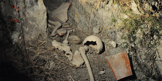 Japonya'daki tema park USJ yakınlarında insan kemikleri bulundu