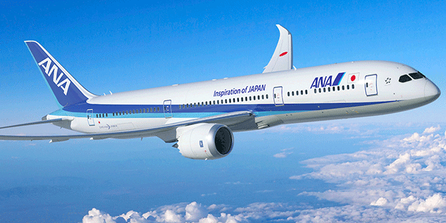 Japonya'nın en büyük havayollarından ANA, batmaya devam ediyor