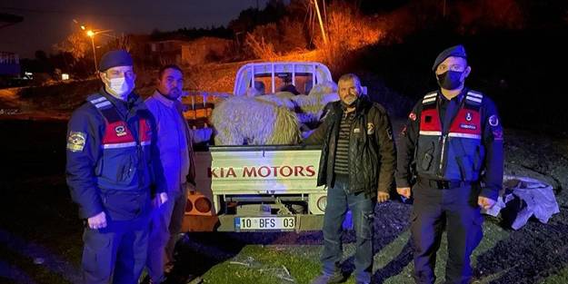 JASAT'tan koyun hırsızlarına operasyon