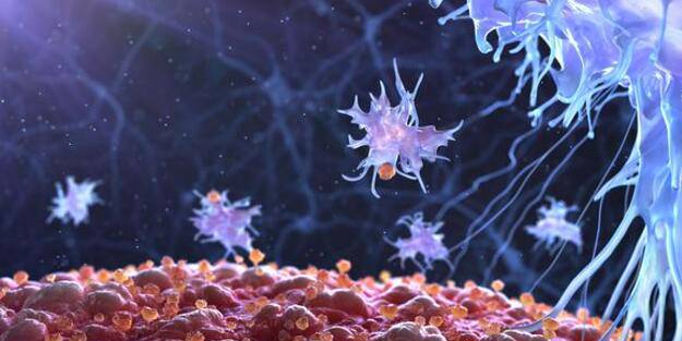 Jinekolojik kanserlerde artış var