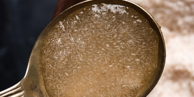 Kabızlığın şifası karnıyarık otu tohumunda! karnıyarık otu nedir, nasıl kullanılır?