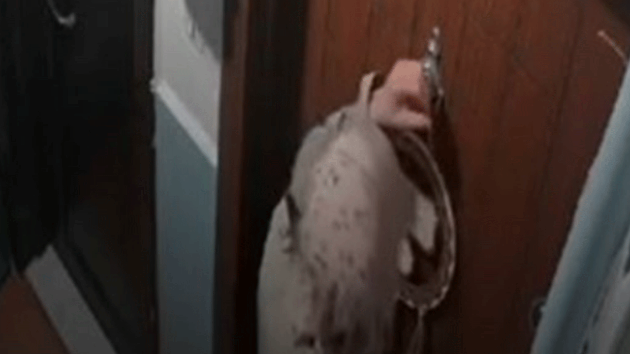 Kabloları tek tek kestiler! İstanbul'da akılalmaz hırsızlık!