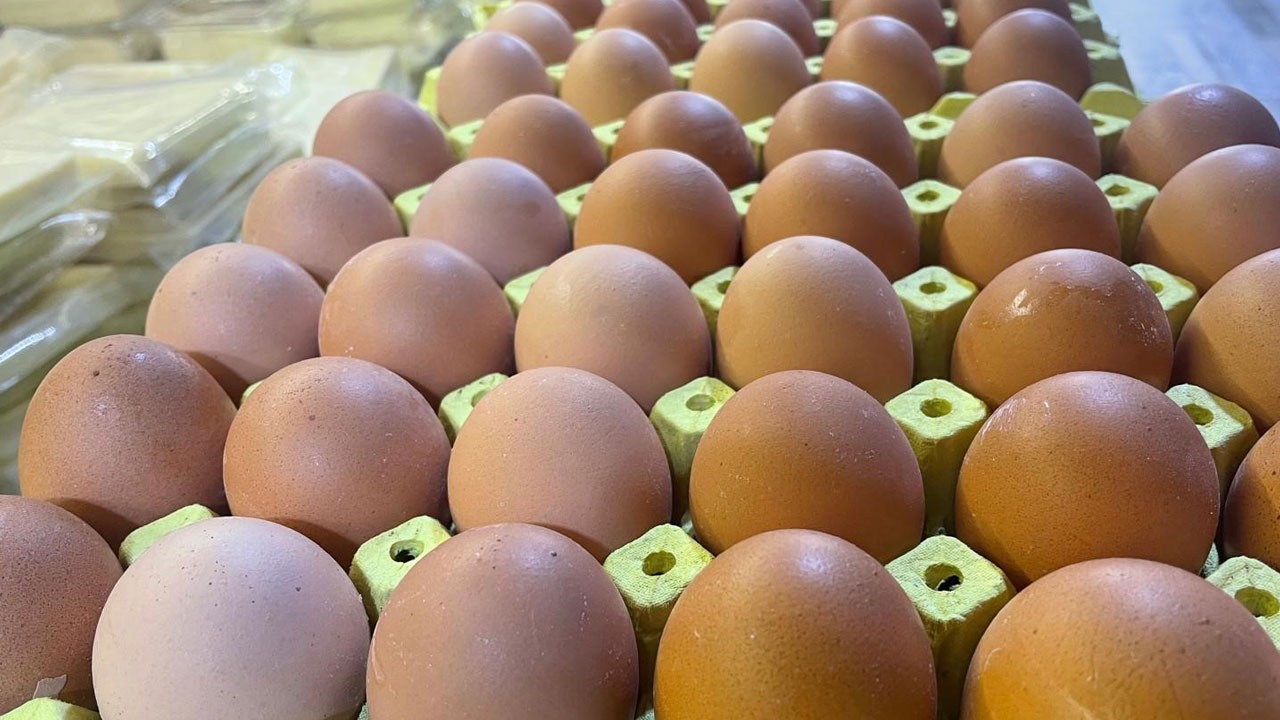Kabuk deyip geçmeyin! Yumurtadan sanayiye dört kat katma değer