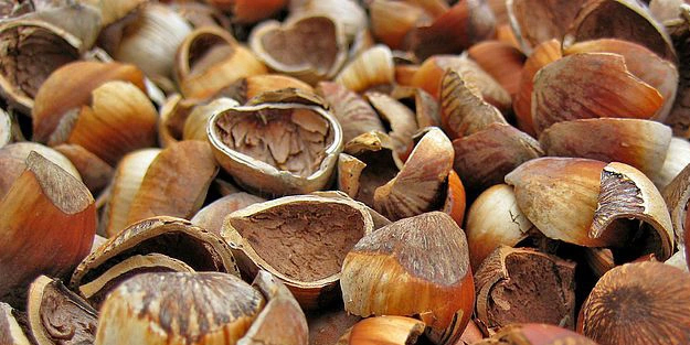 Kabukları kendisinden de şifalı besin: Pamuk gibi ellerin sırrı!