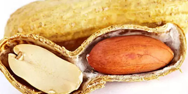 Kabuklarını kaynatıp içen yaşadı! Hafızayı gençleştiren mucize, 1 bardak içmek yetiyor