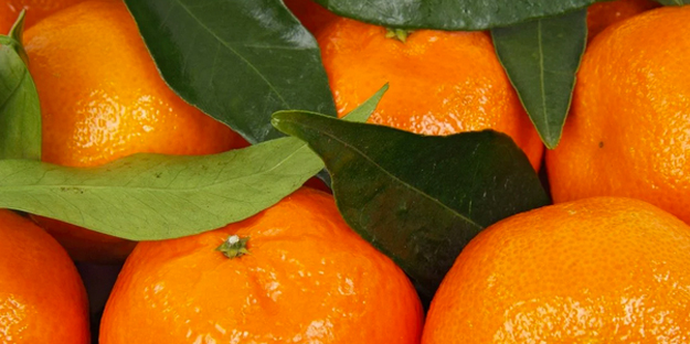 Kabuklarını sakın çöpe atmayın: Bu meyvelerin kabuklarını bu şekilde yapanlar dört ayak üstüne düşecekler!