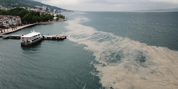 Kabus geri döndü! Yeniden ortaya çıktı
