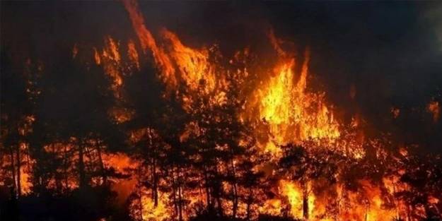 Kaç kuruşluk bilginiz var ki çıkıp konuşuyorsunuz!