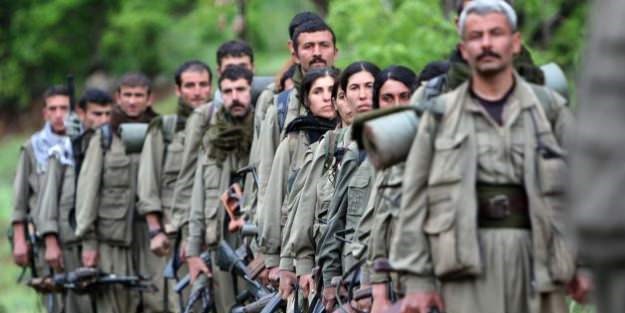 Kaç tane PKK'lı terörist var?