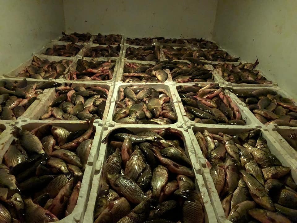 Kaçak avcı 2 kişiye 10 bin TL ceza 