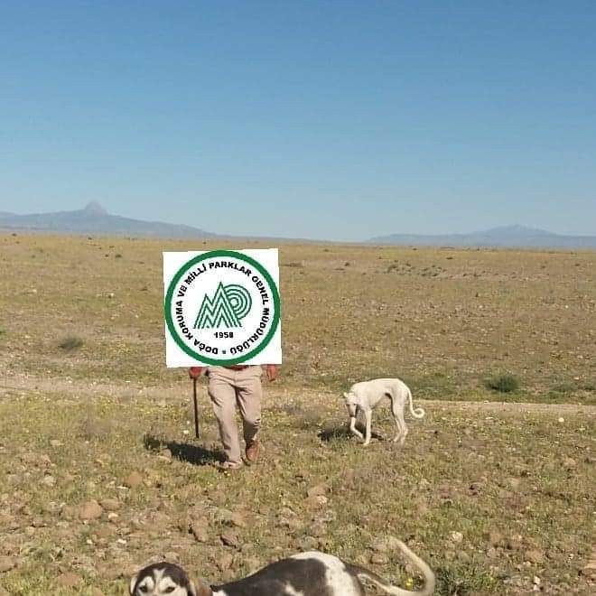 Kaçak avcılara 7 bin 536 TL idari para cezası 