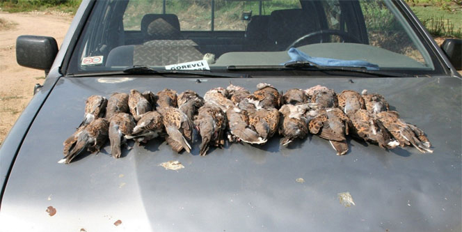 2 bin 972 adet avcı denetlendi