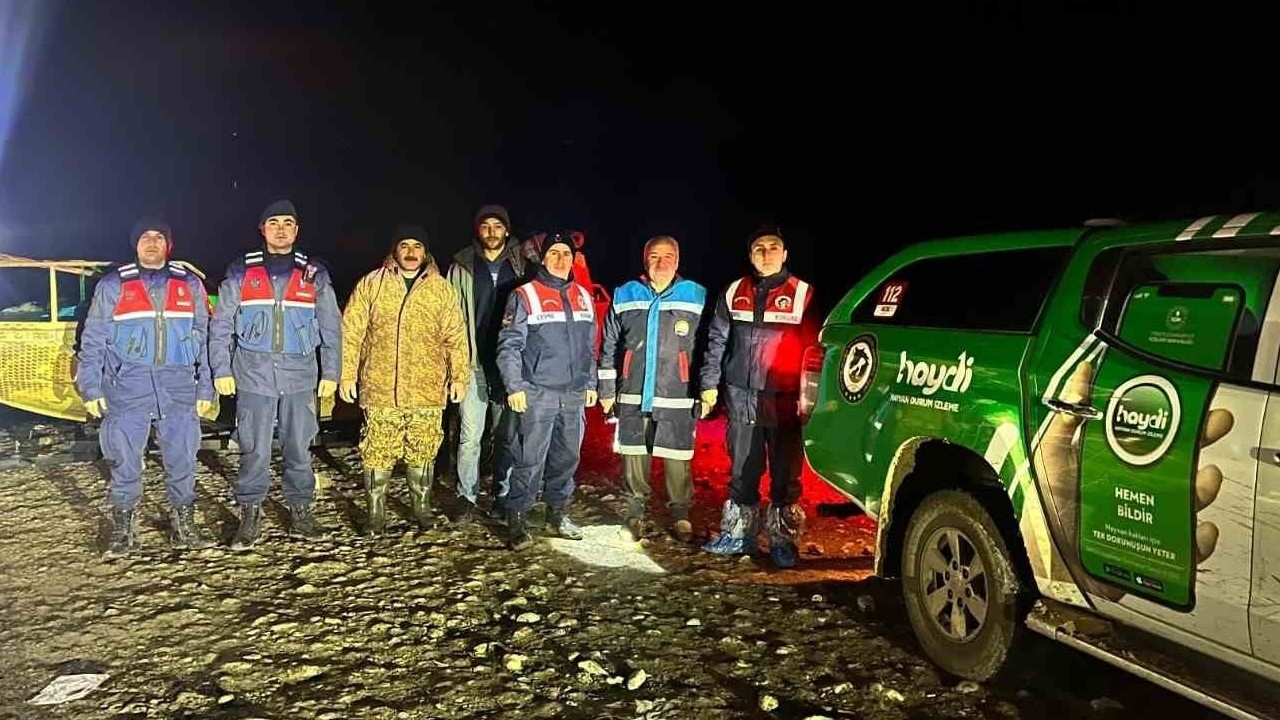 Kaçak avcılara yönelik Jandarma destekli denetim: 10 bin metre ağ ele geçirildi