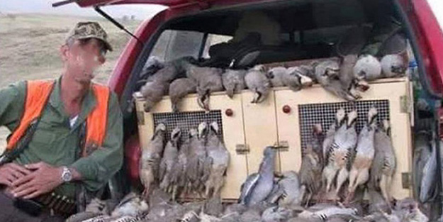 Kaçak avcılara sosyal medya darbesi!