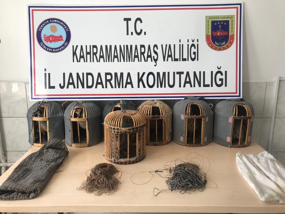 Kaçak avladıkları kekliklerle yakalandılar 