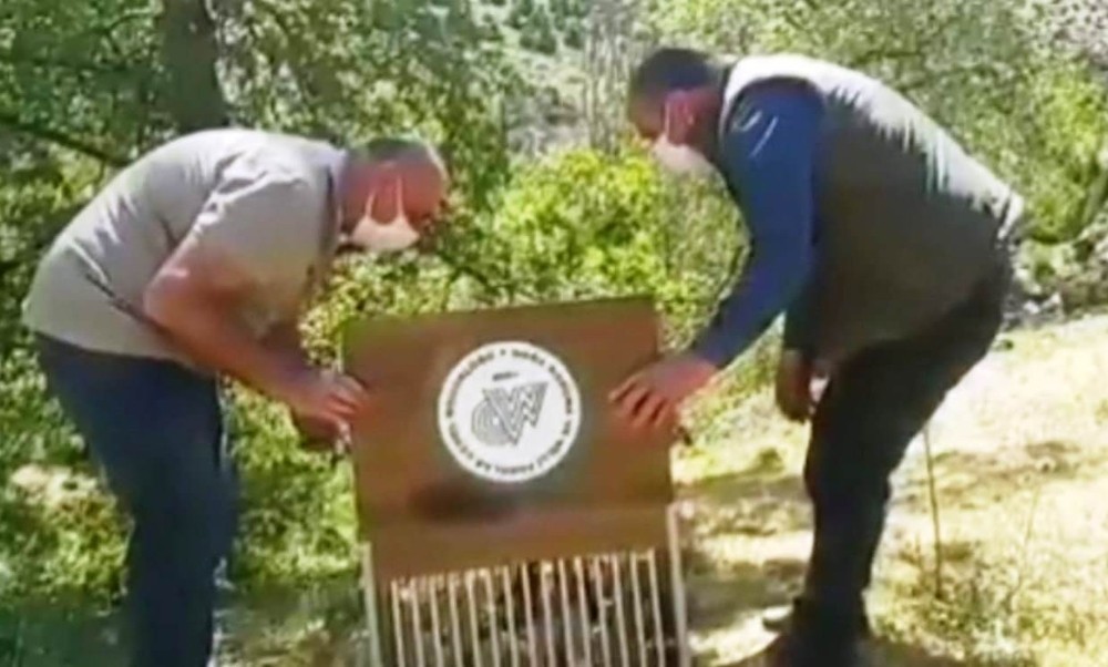 Kaçak avlanan 37 Kınalı Keklik artık özgür 